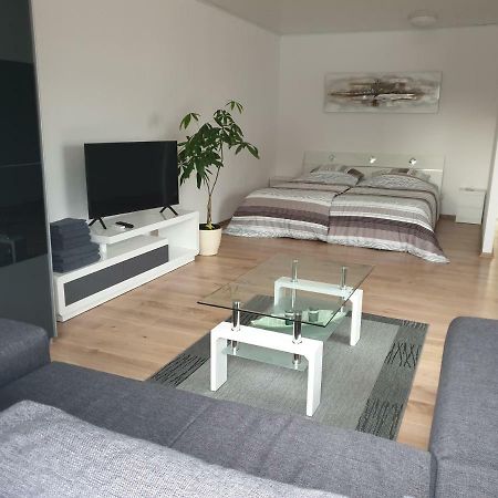 Carina Apartment Kandern Eksteriør billede